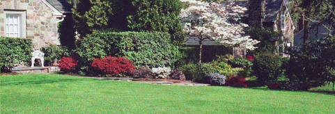 Landscape & Tree Services in Massachusetts