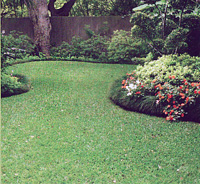 We can make your lawn look beautiful!