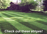 Check out these stripes!